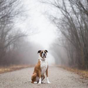 Meet your Posher, Ashlee